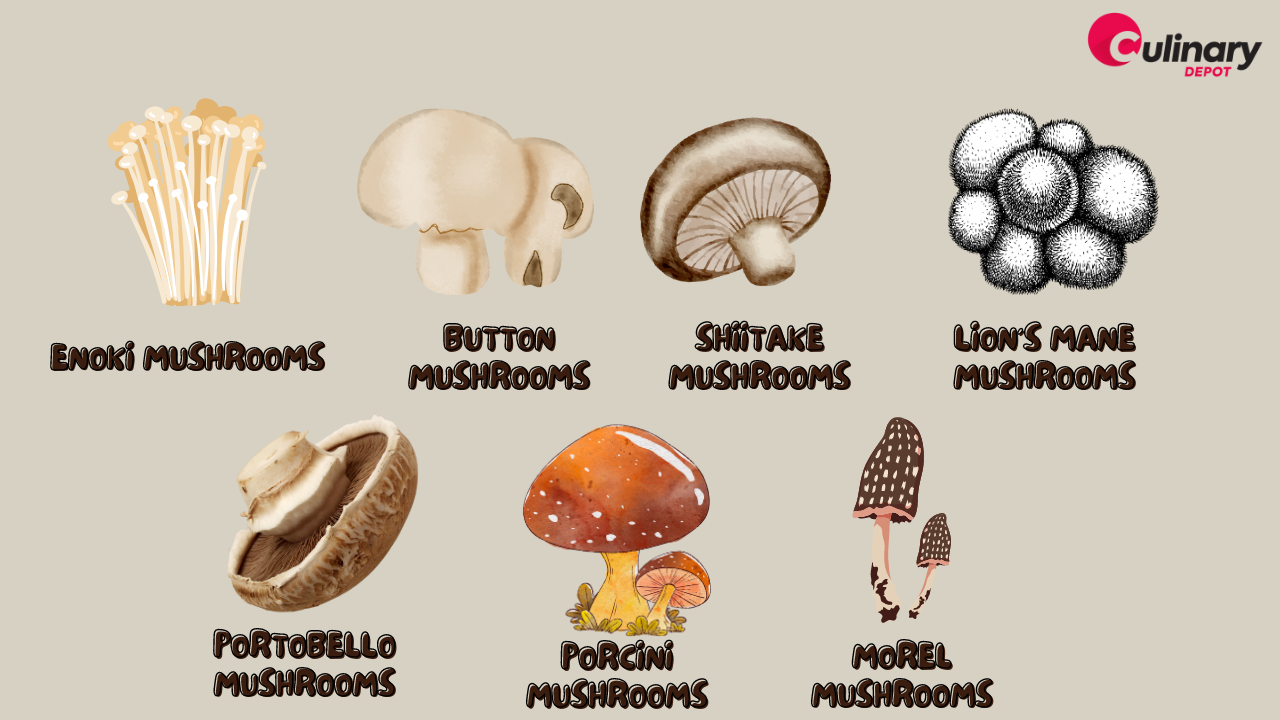 Types of Mushrooms That You Need to Try - Culinary Depot