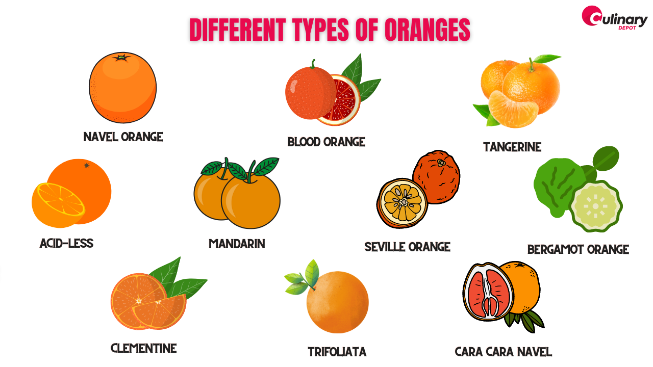 https://www.culinarydepotinc.com/product_images/uploaded_images/different-types-of-oranges.png