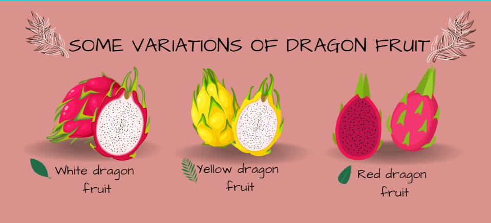 Yellow Dragon Fruit: Health Benefits, Ways to Eat It